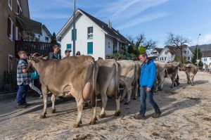 k-Impressionen_02